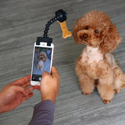 Pet Photography Tool Cat Dog And Dog Viewing Lens Camera Toy Mobile Phone Camera Holder Selfie Clip Supplies Pet Products